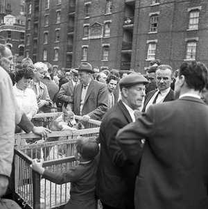 Club Row Dog Market